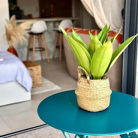 Agosta Apartamento *