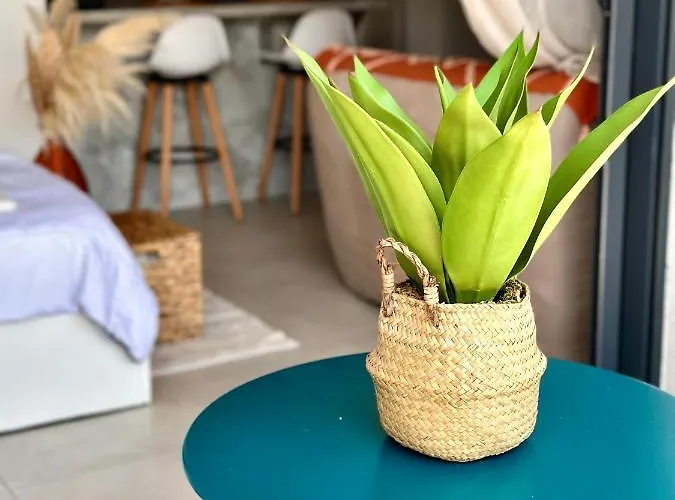 Agosta Apartamento *